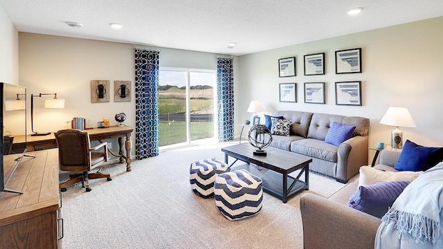 carpeted living room with a textured ceiling