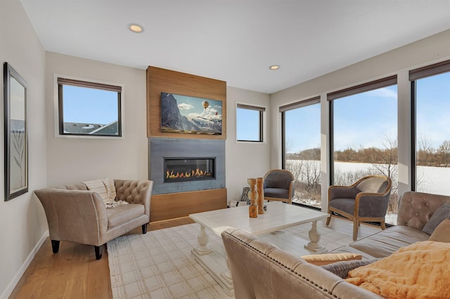 living room with a large fireplace and hardwood / wood-style flooring