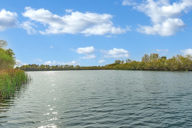 property view of water