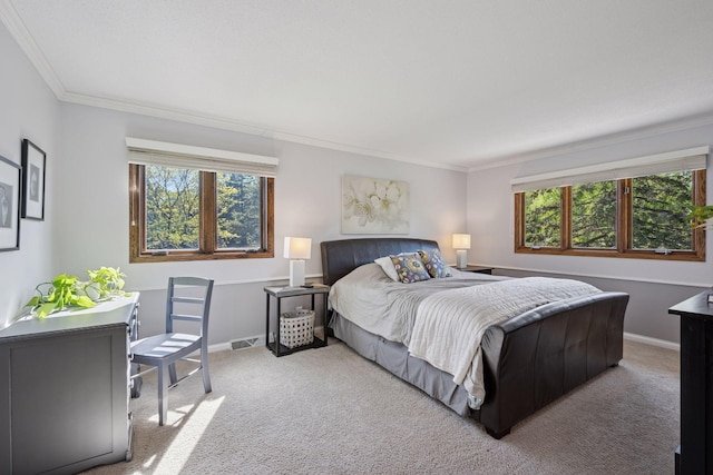 2500 Urbandale Ln N, Plymouth, MN 55447 - carpeted bedroom with multiple windows and crown molding