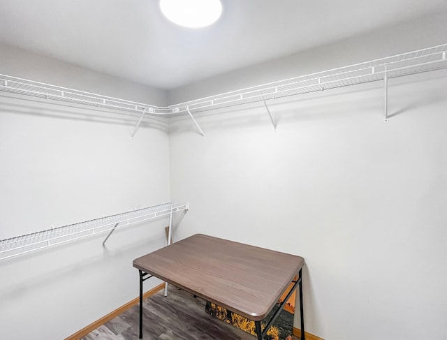 spacious closet featuring wood-type flooring