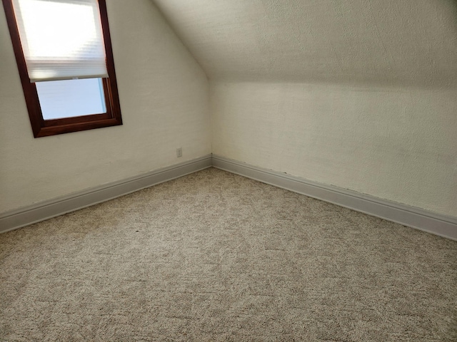 additional living space with carpet flooring