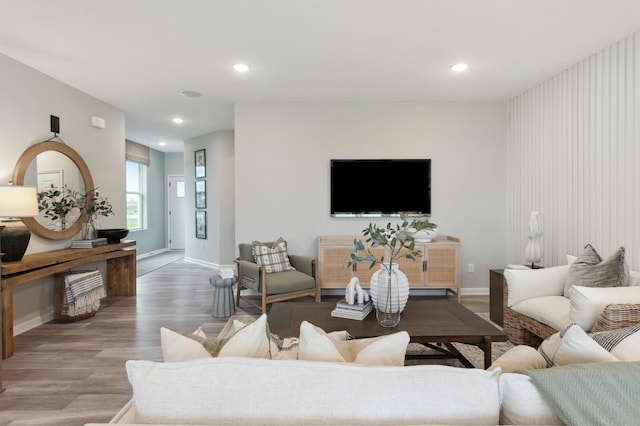 living room featuring wood-type flooring