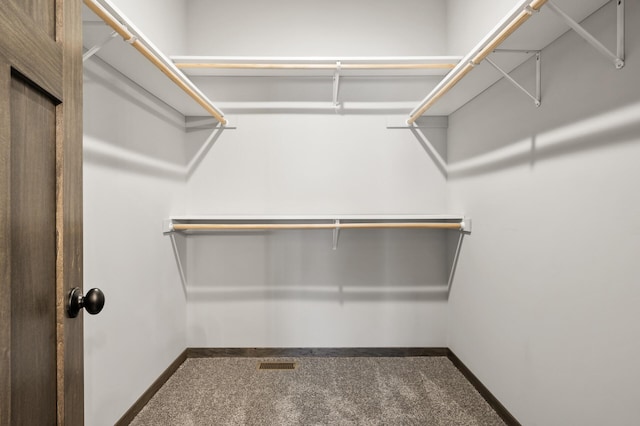 9971 14th Cir NE, Saint Michael, MN 55376 - spacious closet featuring carpet floors