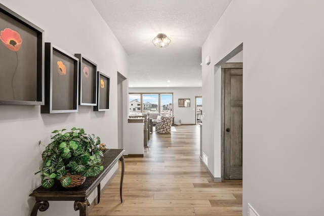 9971 14th Cir NE, Saint Michael, MN 55376 - hall with light wood finished floors and baseboards