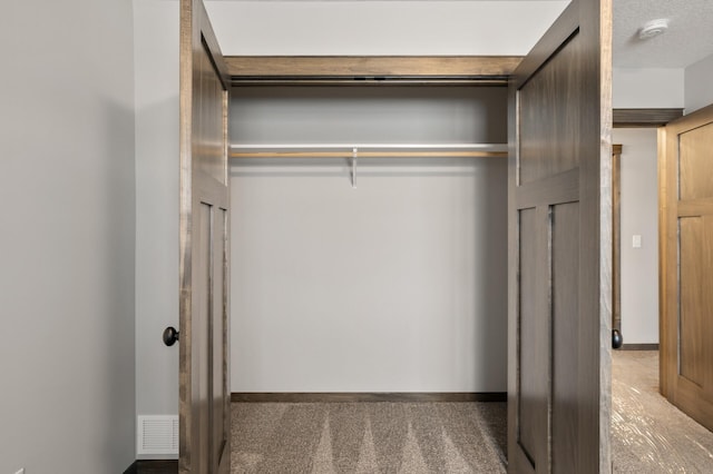 9971 14th Cir NE, Saint Michael, MN 55376 - view of closet