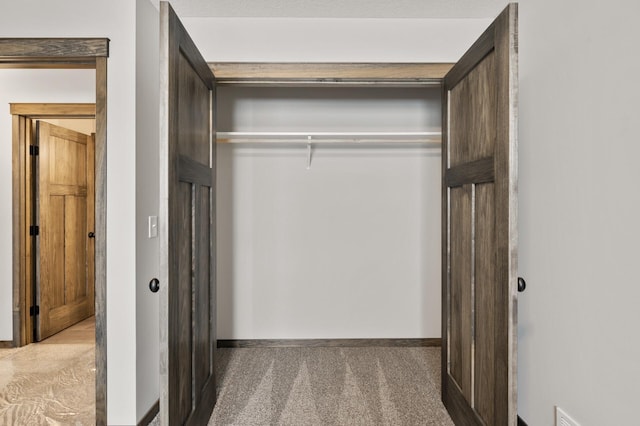9971 14th Cir NE, Saint Michael, MN 55376 - view of closet