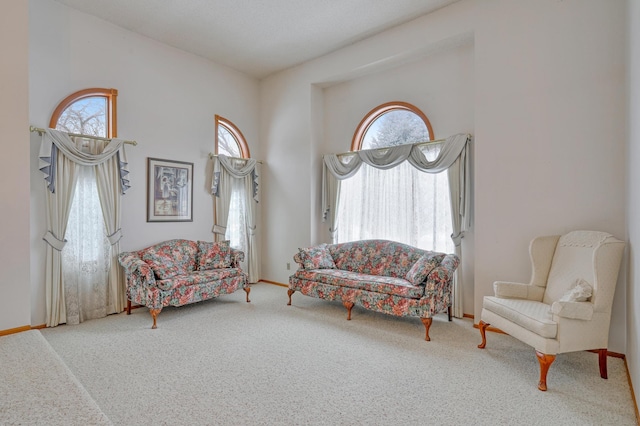 sitting room featuring carpet floors