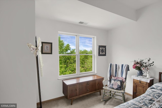 bedroom with light colored carpet