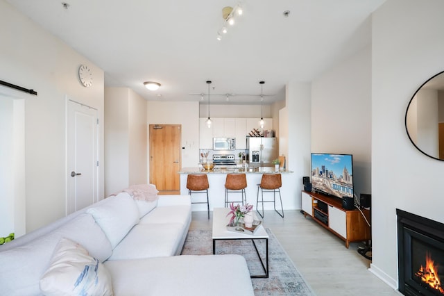 living room featuring light hardwood / wood-style flooring and track lighting