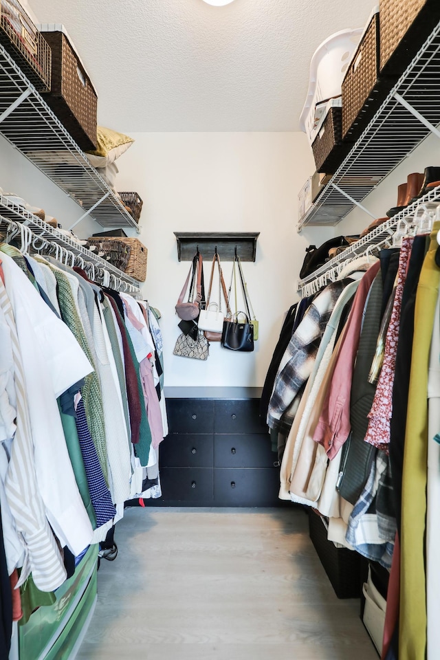 spacious closet featuring hardwood / wood-style flooring