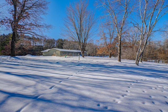 view of yard covered in snow