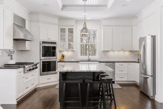 kitchen with a tray ceiling, crown molding, appliances with stainless steel finishes, dark wood-type flooring, and white cabinetry
