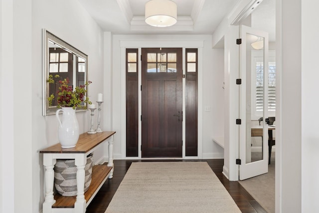 297 Glenbrook Rd N, Wayzata, MN 55391 - entryway featuring plenty of natural light, crown molding, dark wood-type flooring, baseboards, and a tray ceiling