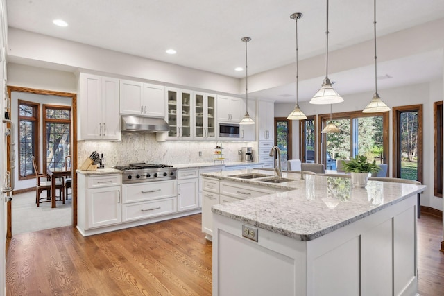 kitchen featuring stainless steel appliances, sink, hanging light fixtures, ventilation hood, and a center island with sink