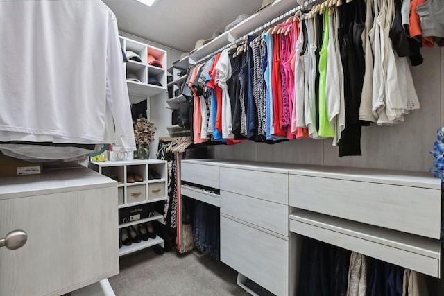 walk in closet with light colored carpet