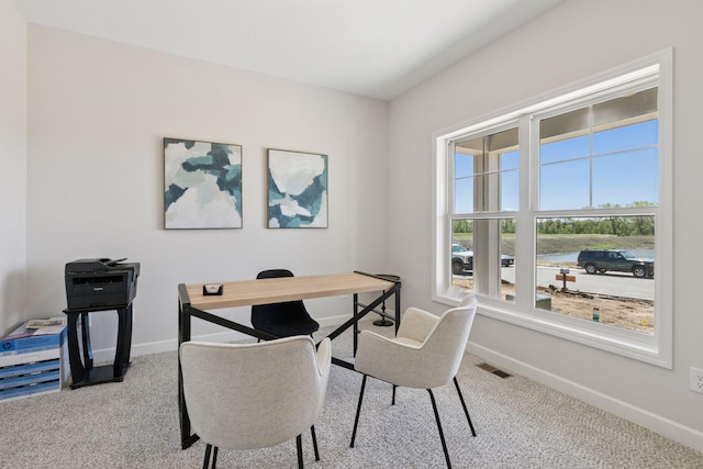 18513 Ifton Way, Lakeville, MN 55044 - office featuring baseboards and carpet floors