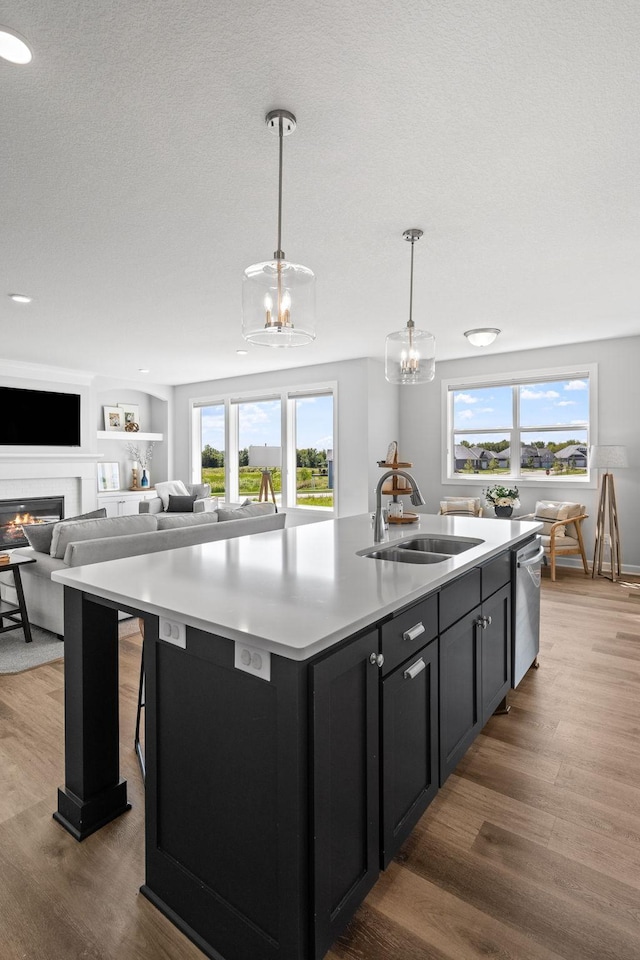 kitchen featuring wood finished floors, a sink, a lit fireplace, dishwasher, and a center island with sink