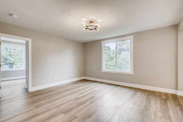 spare room with a wealth of natural light, light hardwood / wood-style floors, and a textured ceiling