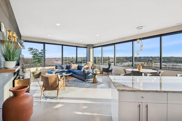 living room with plenty of natural light