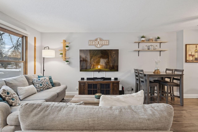 living room with hardwood / wood-style flooring and a textured ceiling