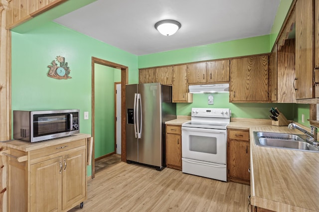 kitchen featuring sink, light hardwood / wood-style floors, and stainless steel appliances