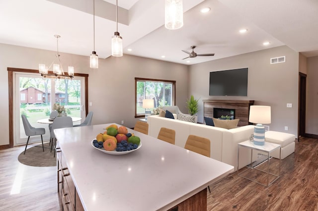 dining area featuring hardwood / wood-style floors, plenty of natural light, and ceiling fan with notable chandelier