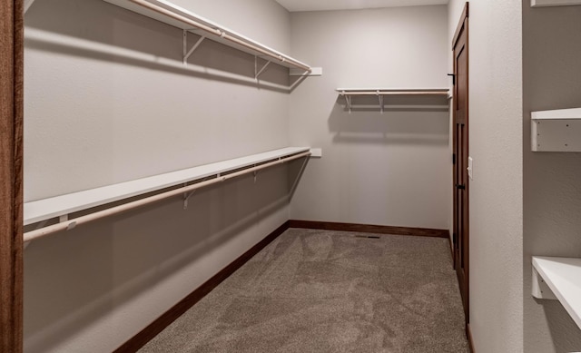 spacious closet with carpet flooring