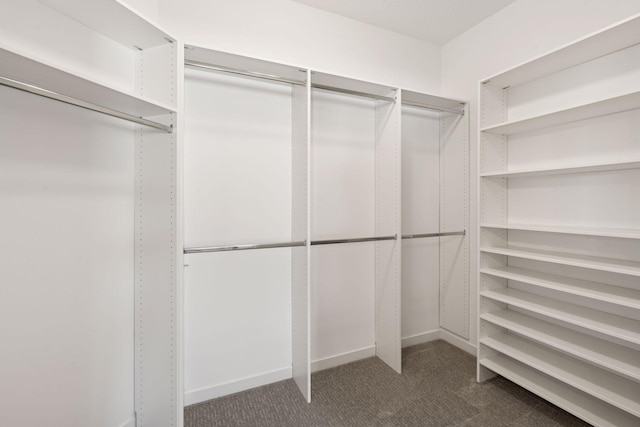 spacious closet featuring dark carpet