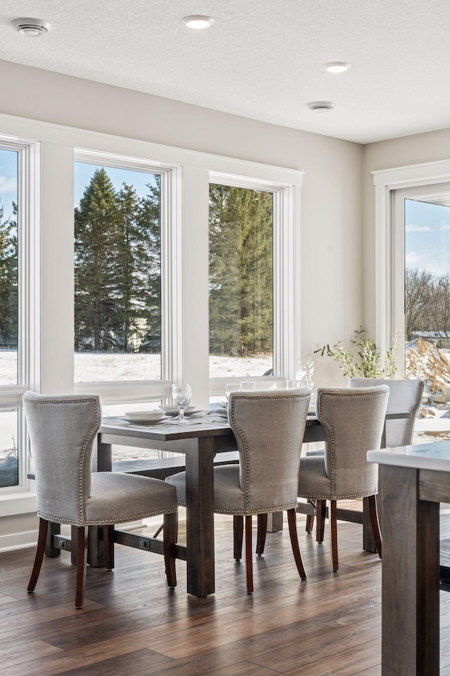 dining space featuring dark wood-style flooring and a textured ceiling