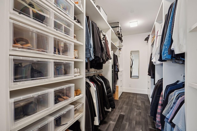 spacious closet featuring dark wood-type flooring