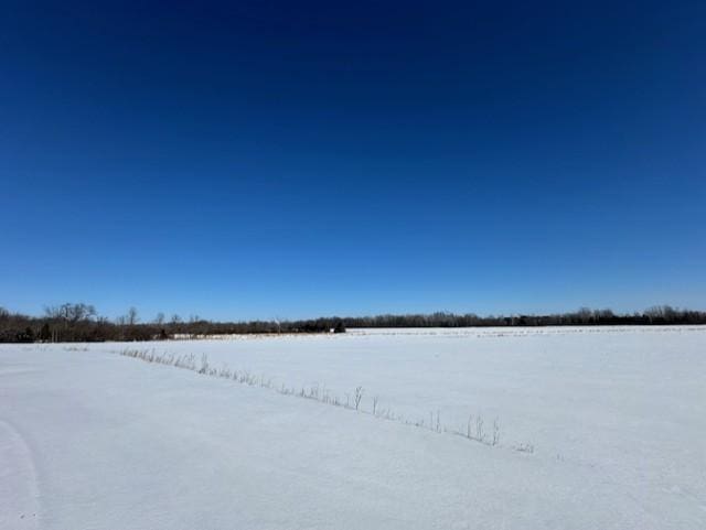 view of yard layered in snow