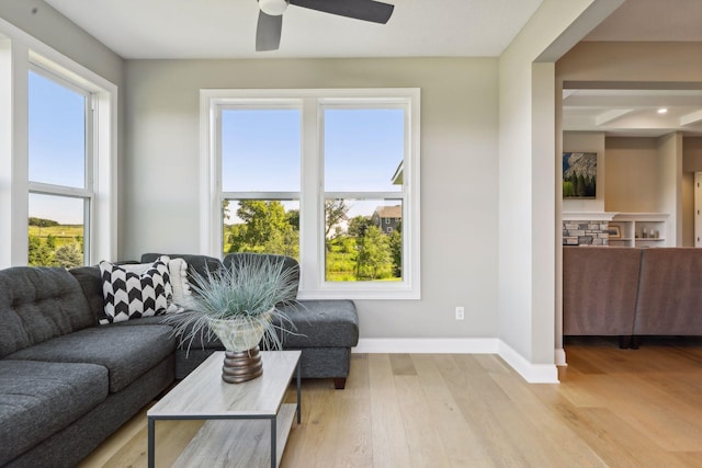 living room with ceiling fan and light hardwood / wood-style floors