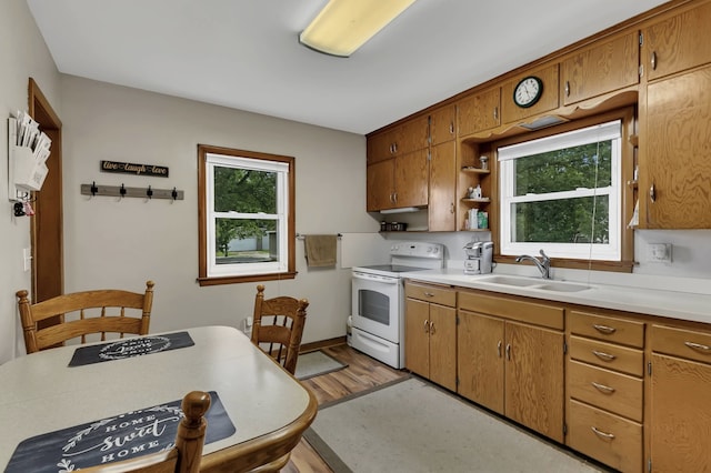 kitchen featuring sink, electric range, light wood-type flooring, and a healthy amount of sunlight