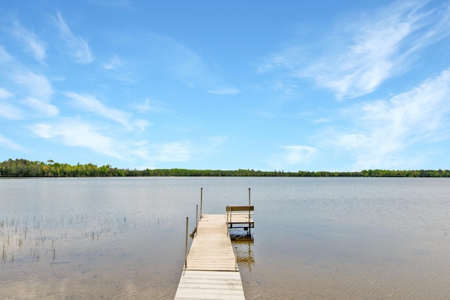 17494 Shallow Lake Ln, Warba, MN 55793 - photo 3