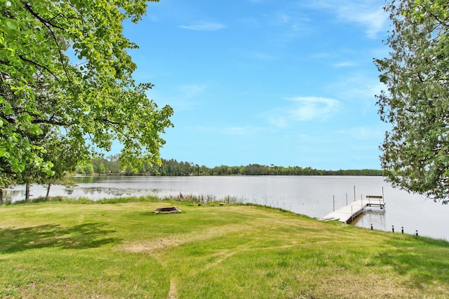 17494 Shallow Lake Ln, Warba, MN 55793 - photo 4