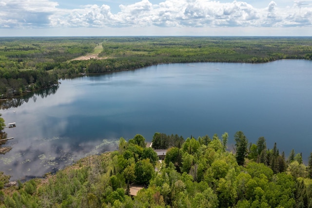 17494 Shallow Lake Ln, Warba, MN 55793 - photo 16