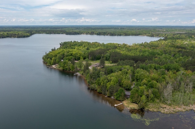 17494 Shallow Lake Ln, Warba, MN 55793 - photo 17