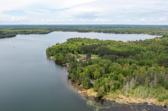 17494 Shallow Lake Ln, Warba, MN 55793 - photo 18