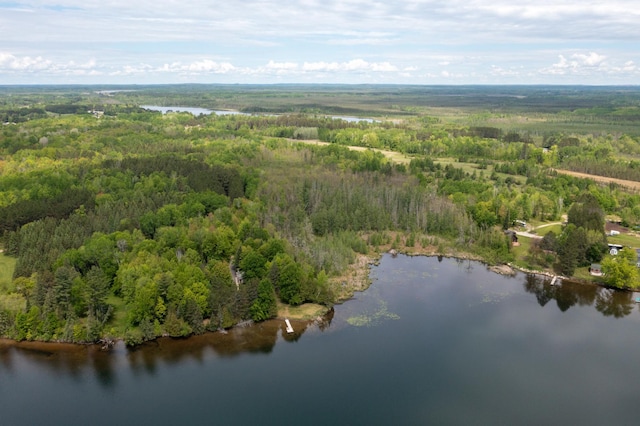 17494 Shallow Lake Ln, Warba, MN 55793 - photo 19
