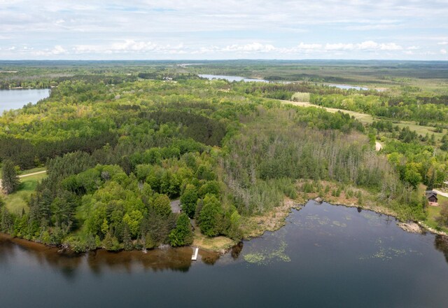 17494 Shallow Lake Ln, Warba, MN 55793 - photo 20