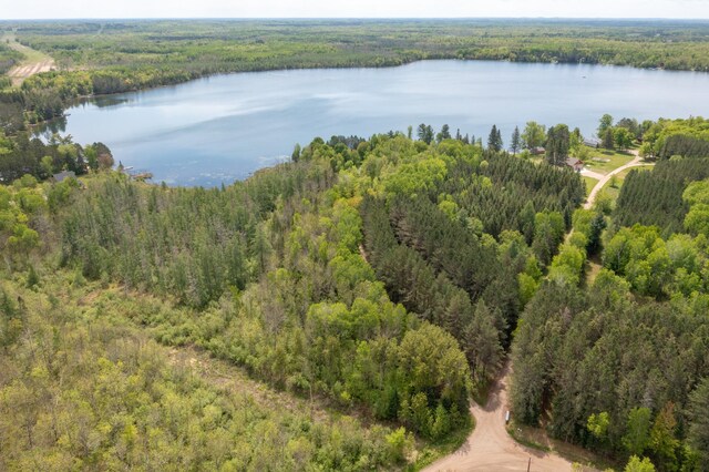 17494 Shallow Lake Ln, Warba, MN 55793 - photo 21