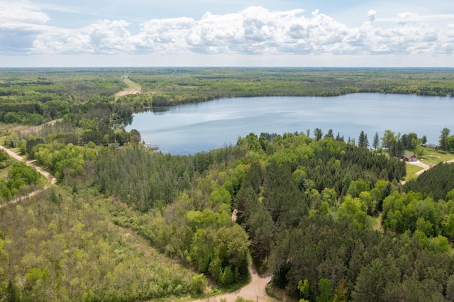17494 Shallow Lake Ln, Warba, MN 55793 - photo 22