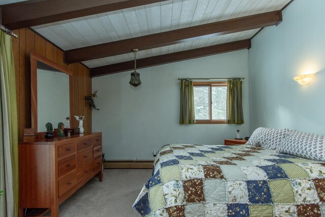17494 Shallow Lake Ln, Warba, MN 55793 - photo 40