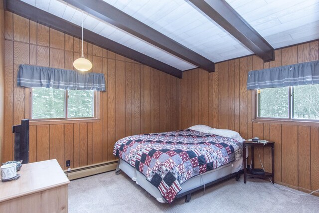 17494 Shallow Lake Ln, Warba, MN 55793 - photo 44