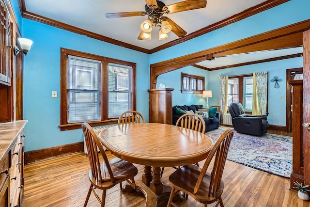 dining area featuring crown molding, radiator, ceiling fan, and light wood-type flooring