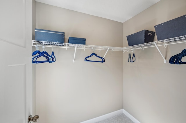 spacious closet featuring carpet flooring