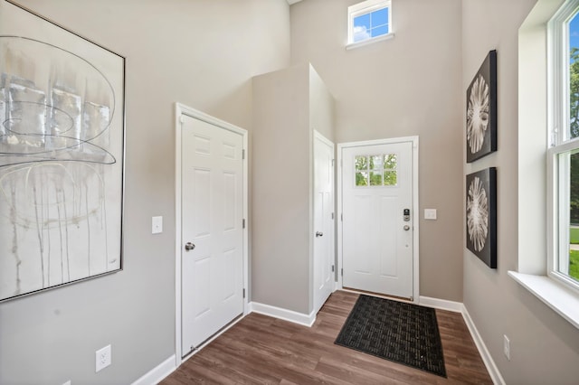 entrance foyer with dark wood-type flooring and a high ceiling