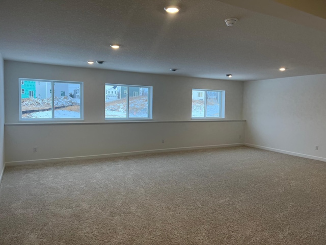 spare room with carpet floors