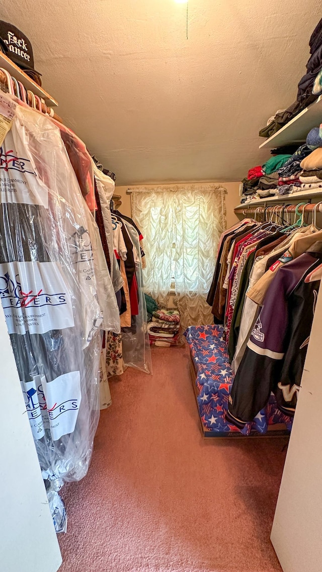 walk in closet with carpet floors